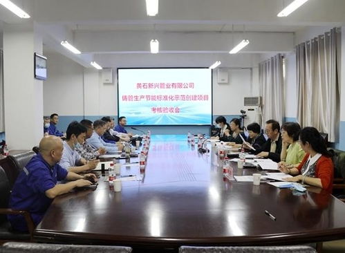 黃石新興管業 以國家節能標準化示范項目為新起點，引領新興能源技術研發新篇章